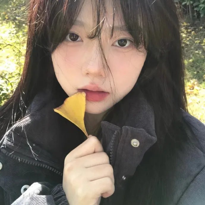 牡丹绿叶